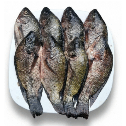 Ikan Mujair