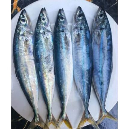 Ikan Malalugis