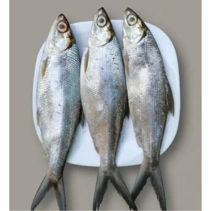 Ikan Bandeng