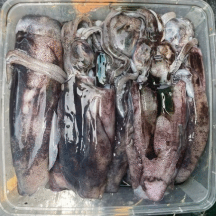 Cumi Bunga