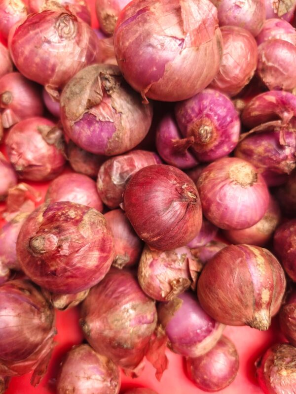 Bawang Merah Kampung